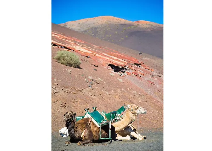 Palmira * Puerto del Carmen