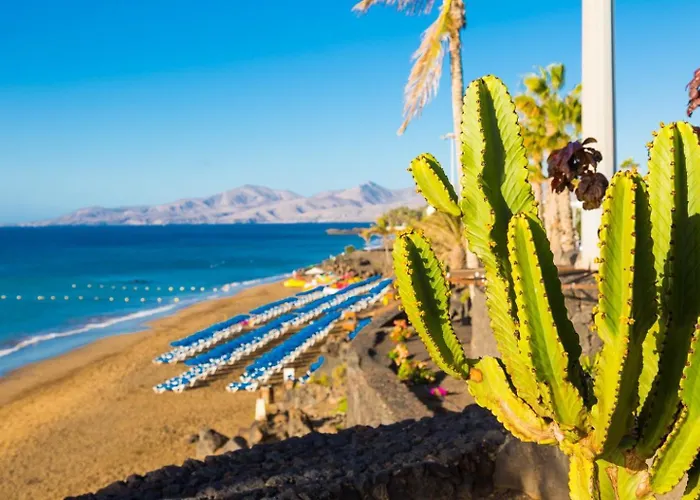 Palmira Puerto del Carmen