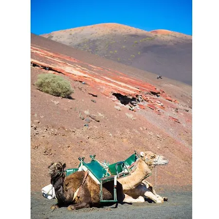 Palmira * プエルト・デル・カルメン