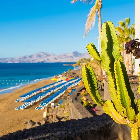 Palmira プエルト・デル・カルメン